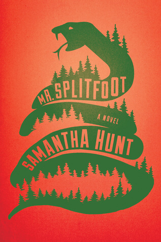 Book cover of Mr. Splitfoot with ethereal forest design
