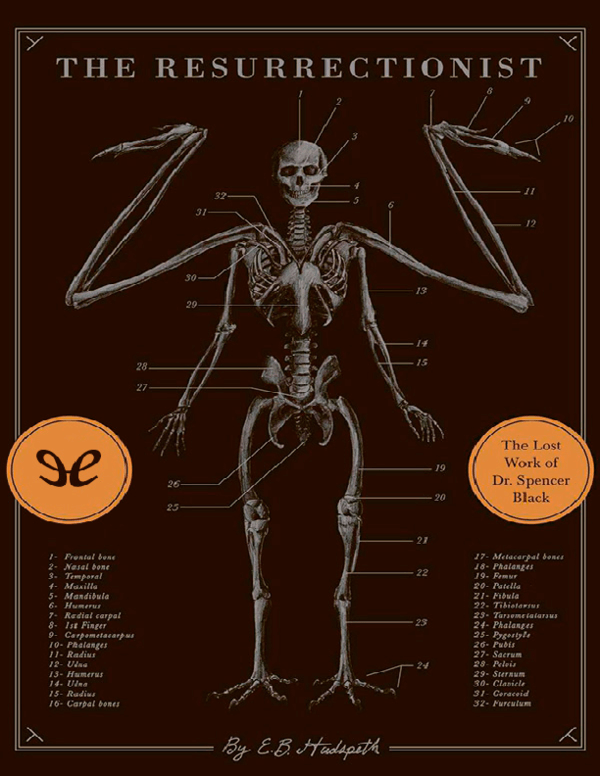 Book cover of The Resurrectionist featuring anatomical sketches